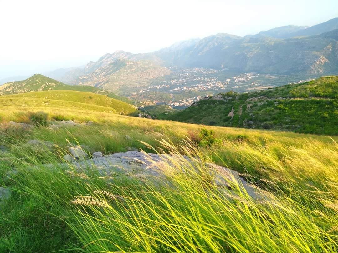 Terrain and roads that move coal through the valley